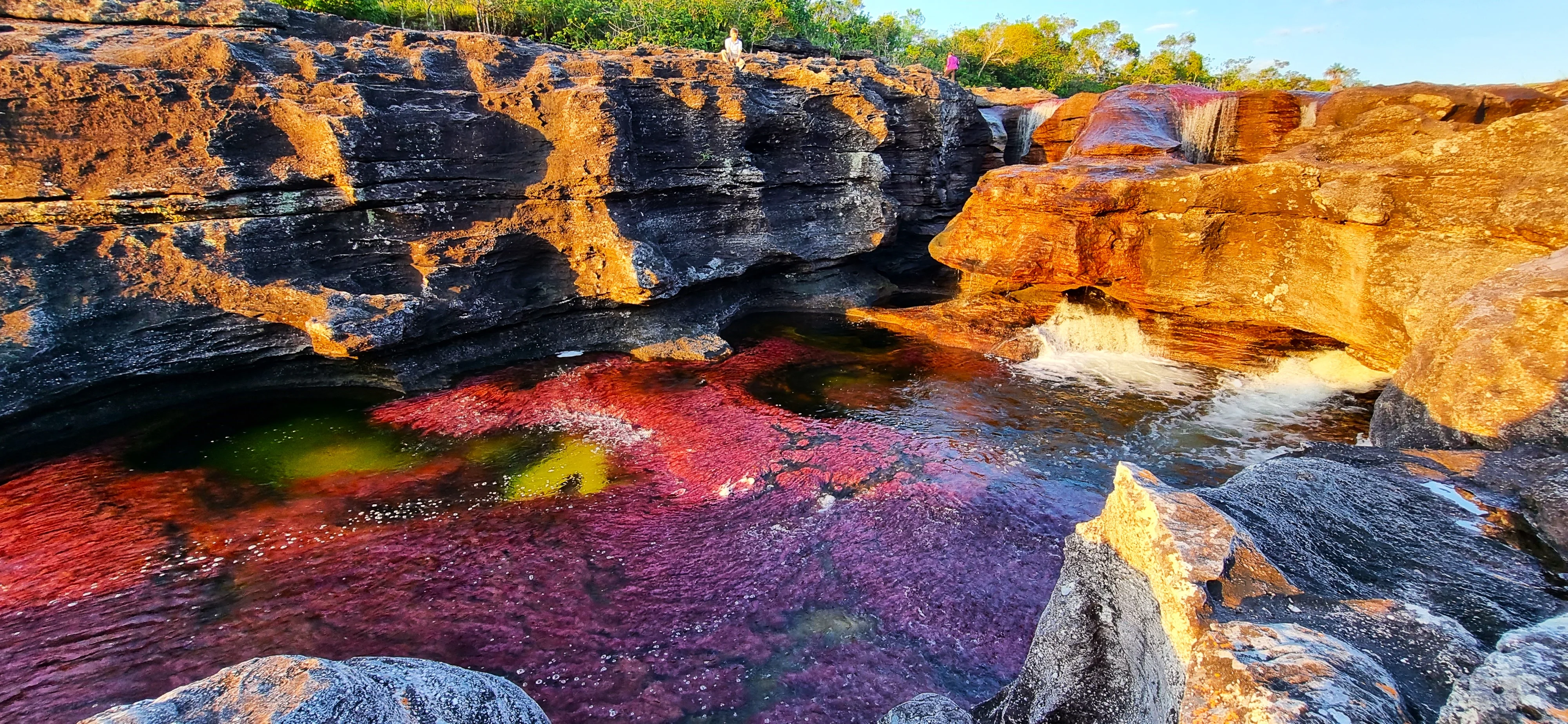 Caño Cristales — colores del río al amanecer, piscinas naturales y formaciones rocosas