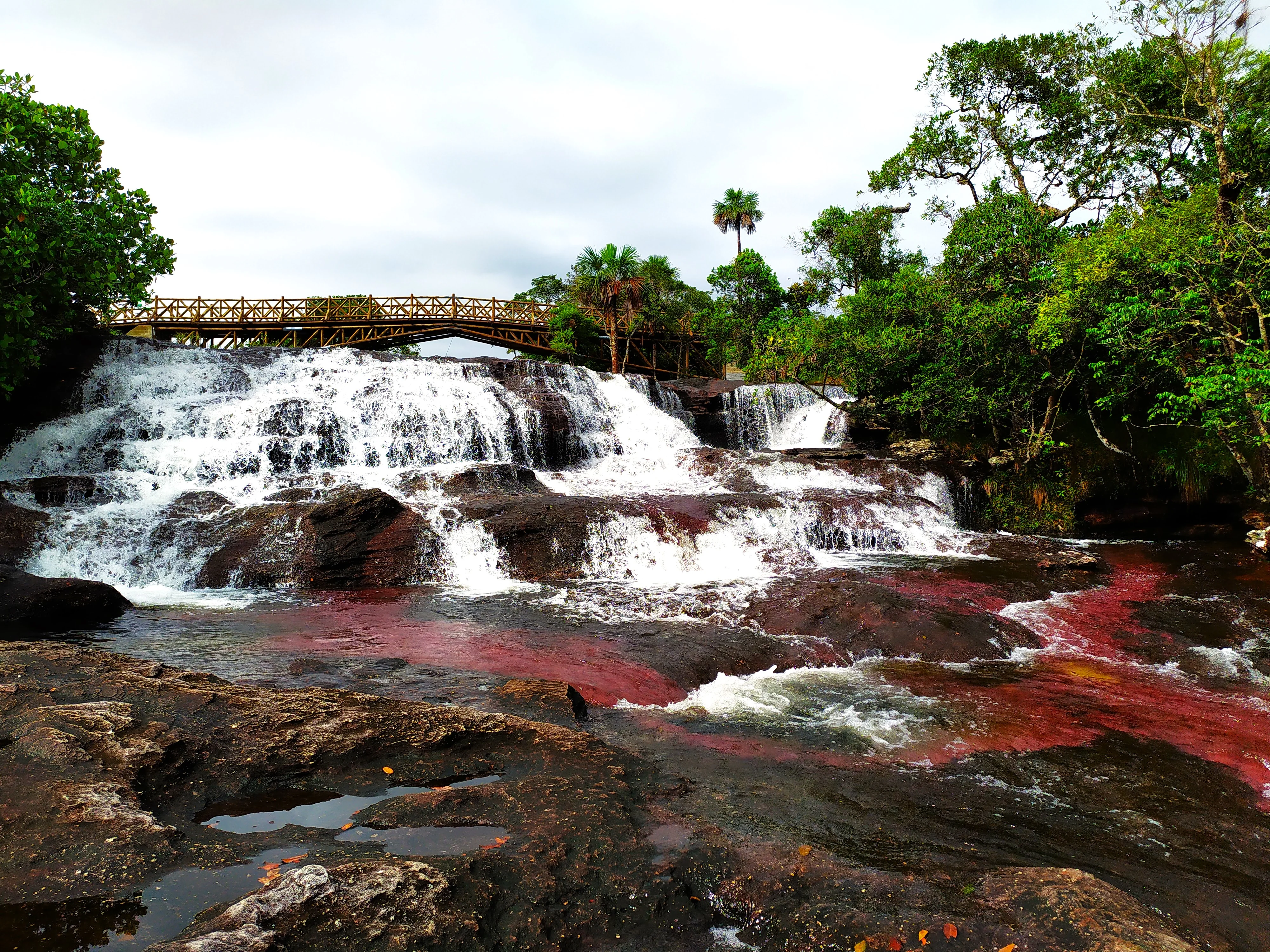 Caño Cristales recorrido